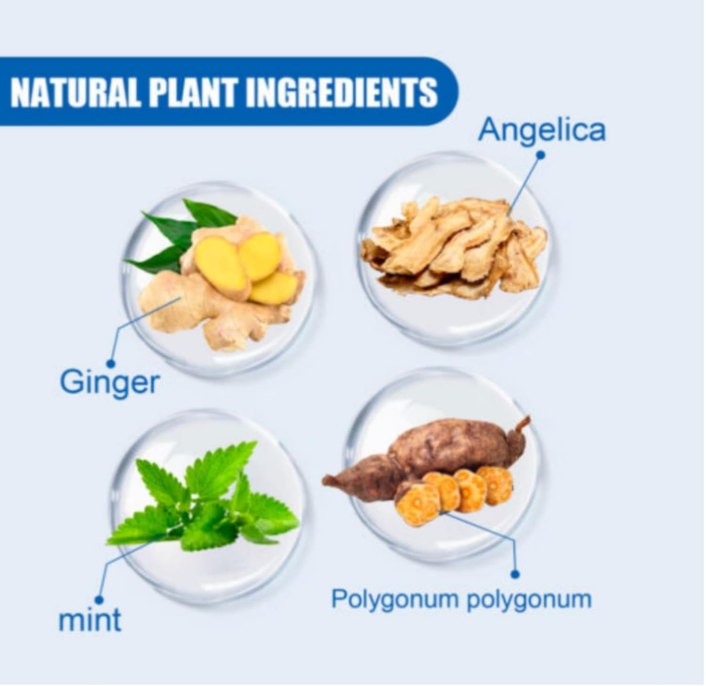 KIRKLAND SIGNATURE Minoxidil 5% 6 Months Supply